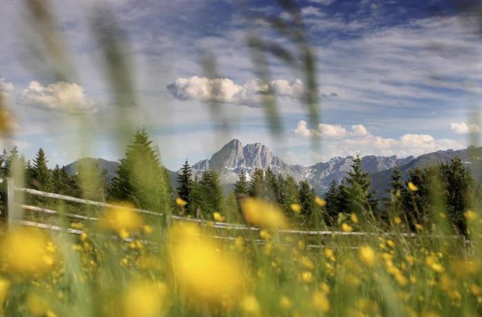landschaft-bergpanorama